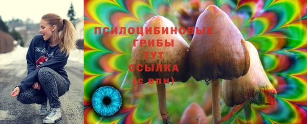 ALPHA PVP Лихославль