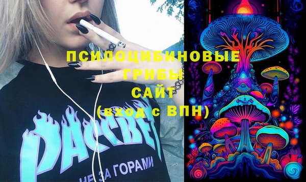 первитин Лиски